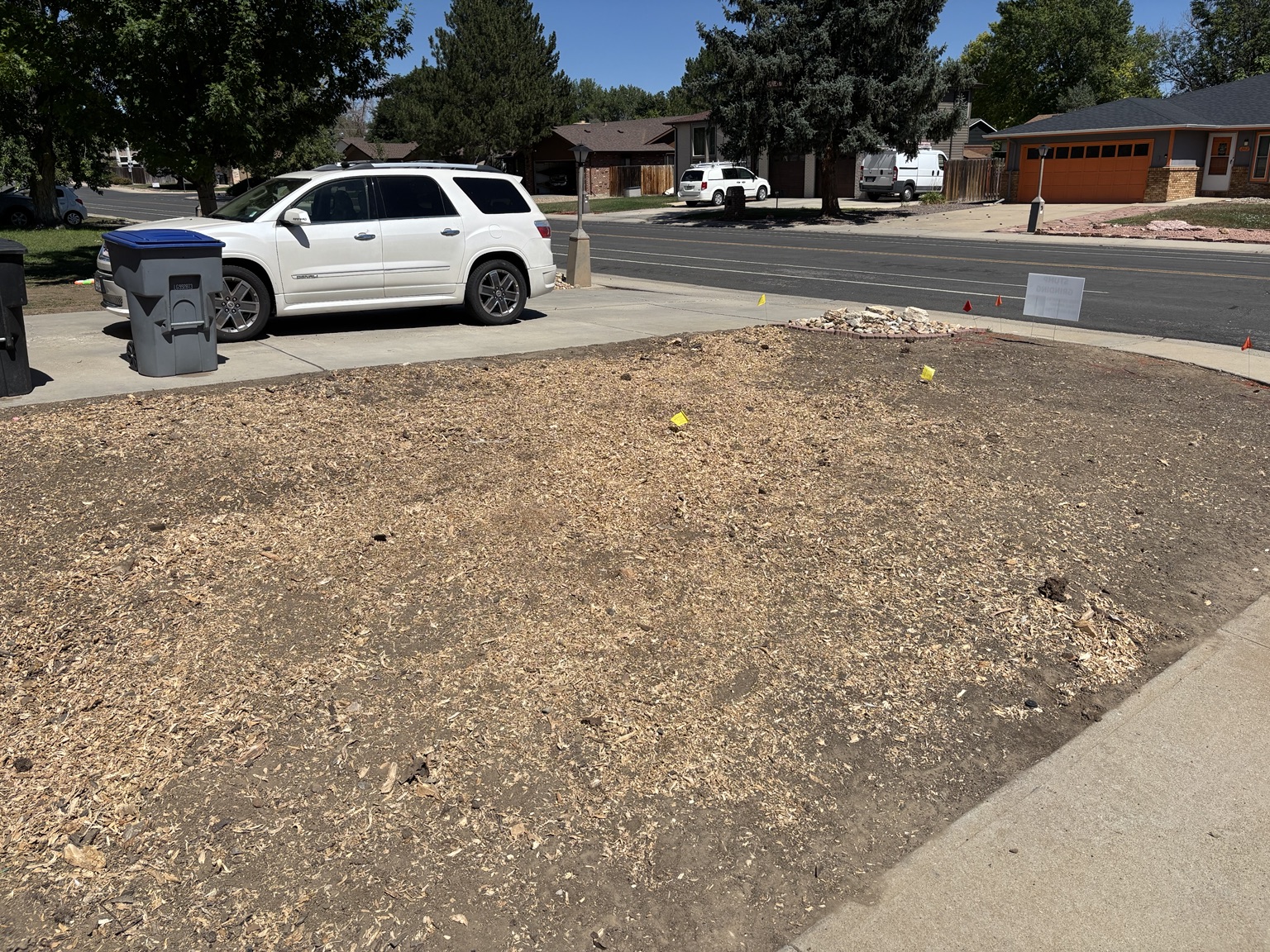 After root removal — yard cleared and mulched in Longmont, Colorado